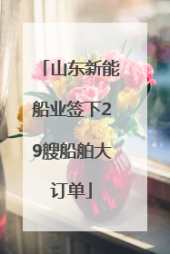 山东新能船业签下29艘船舶大订单