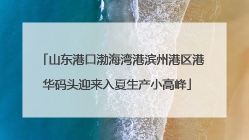 山东港口渤海湾港滨州港区港华码头迎来入夏生产小高峰