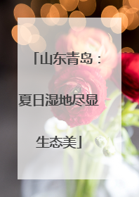 山东青岛：夏日湿地尽显生态美