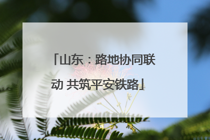 山东：路地协同联动 共筑平安铁路