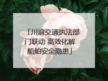 川渝交通执法部门联动 高效化解船舶安全隐患
