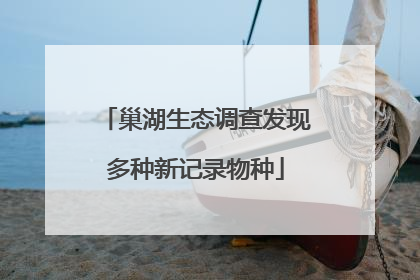 巢湖生态调查发现多种新记录物种