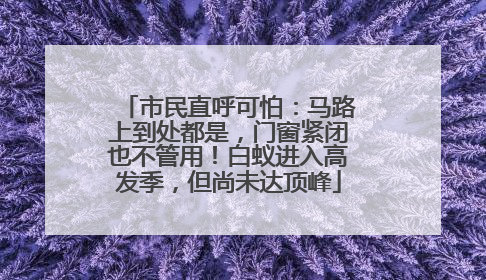 市民直呼可怕：马路上到处都是，门窗紧闭也不管用！白蚁进入高发季，但尚未达顶峰