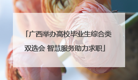 广西举办高校毕业生综合类双选会 智慧服务助力求职