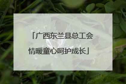 广西东兰县总工会情暖童心呵护成长