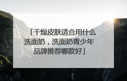干燥皮肤适合用什么洗面奶，洗面奶青少年品牌推荐哪款好