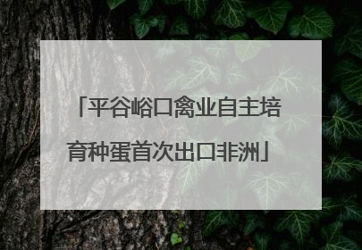 平谷峪口禽业自主培育种蛋首次出口非洲
