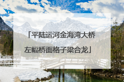 平陆运河金海湾大桥左幅桥面格子梁合龙