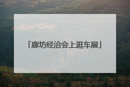 廊坊经洽会上逛车展