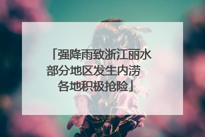 强降雨致浙江丽水部分地区发生内涝 各地积极抢险