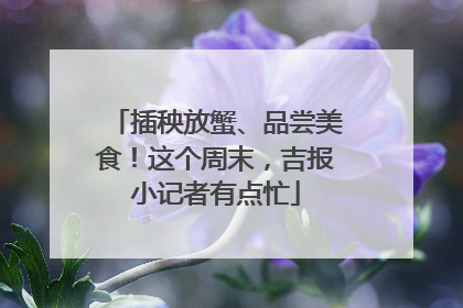 插秧放蟹、品尝美食！这个周末，吉报小记者有点忙