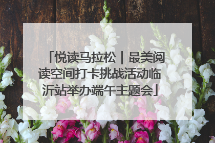 悦读马拉松｜最美阅读空间打卡挑战活动临沂站举办端午主题会