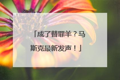 成了替罪羊？马斯克最新发声！