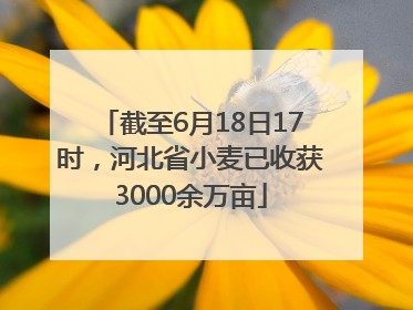 截至6月18日17时，河北省小麦已收获3000余万亩