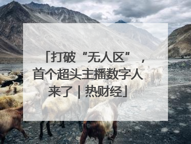 打破“无人区”，首个超头主播数字人来了｜热财经