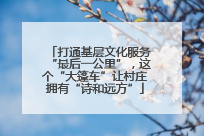 打通基层文化服务“最后一公里”，这个“大篷车”让村庄拥有“诗和远方”