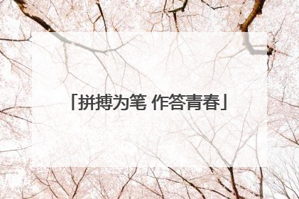 拼搏为笔 作答青春