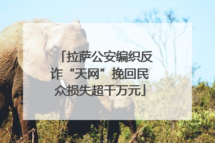 拉萨公安编织反诈“天网”挽回民众损失超千万元