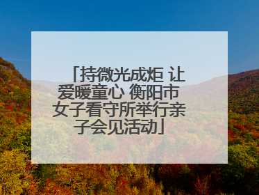 持微光成炬 让爱暖童心 衡阳市女子看守所举行亲子会见活动