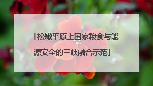 松嫩平原上国家粮食与能源安全的三峡融合示范