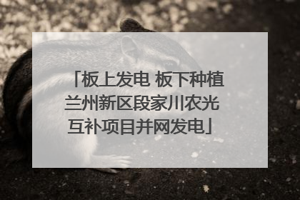 板上发电 板下种植 兰州新区段家川农光互补项目并网发电
