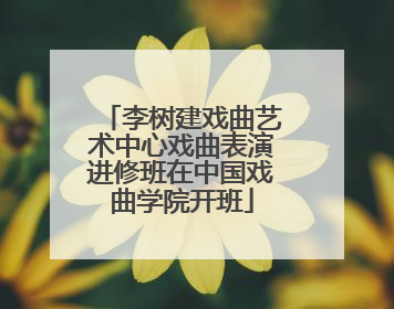 李树建戏曲艺术中心戏曲表演进修班在中国戏曲学院开班