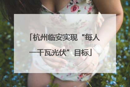 杭州临安实现“每人一千瓦光伏”目标