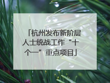 杭州发布新阶层人士统战工作“十个一”重点项目