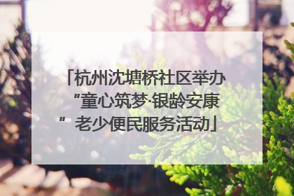杭州沈塘桥社区举办“童心筑梦·银龄安康”老少便民服务活动