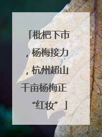 枇杷下市，杨梅接力，杭州超山千亩杨梅正“红妆”