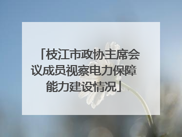 枝江市政协主席会议成员视察电力保障能力建设情况