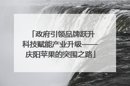 政府引领品牌跃升 科技赋能产业升级——庆阳苹果的突围之路
