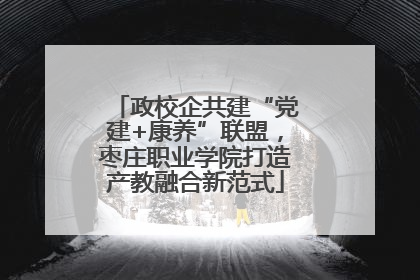 政校企共建“党建+康养”联盟，枣庄职业学院打造产教融合新范式