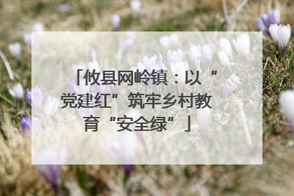 攸县网岭镇：以“党建红”筑牢乡村教育“安全绿”