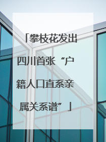 攀枝花发出四川首张“户籍人口直系亲属关系谱”