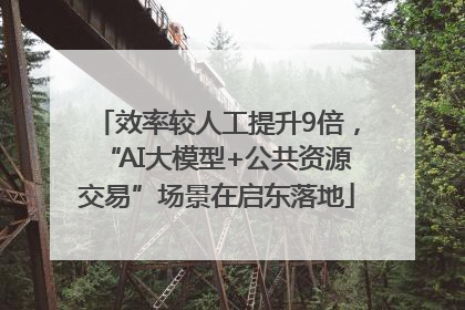 效率较人工提升9倍，“AI大模型+公共资源交易”场景在启东落地