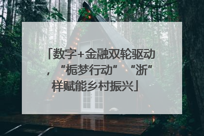 数字+金融双轮驱动，“栀梦行动”“浙”样赋能乡村振兴
