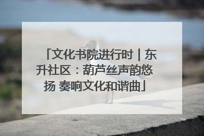 文化书院进行时｜东升社区：葫芦丝声韵悠扬 奏响文化和谐曲