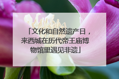 文化和自然遗产日，来西城在历代帝王庙博物馆里遇见非遗
