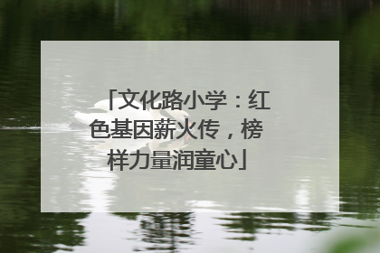 文化路小学：红色基因薪火传，榜样力量润童心