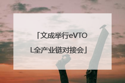 文成举行eVTOL全产业链对接会