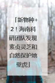 新物种+2！海南科研团队发现素贞灵芝和自然保护地壁虎