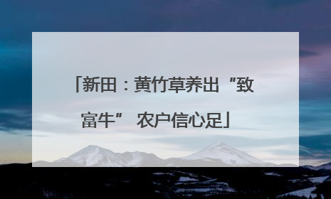 新田：黄竹草养出“致富牛” 农户信心足