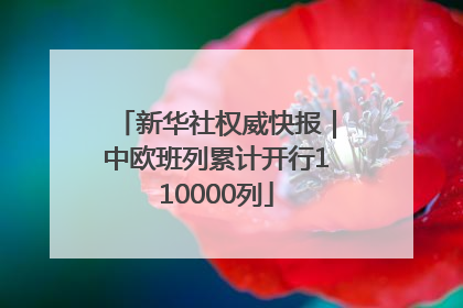新华社权威快报｜中欧班列累计开行110000列