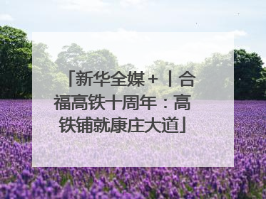新华全媒＋丨合福高铁十周年：高铁铺就康庄大道