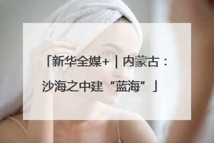 新华全媒+｜内蒙古：沙海之中建“蓝海”