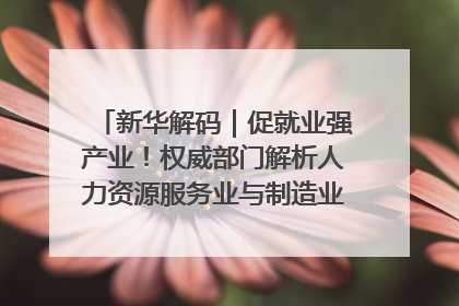 新华解码｜促就业强产业！权威部门解析人力资源服务业与制造业融合发展试点