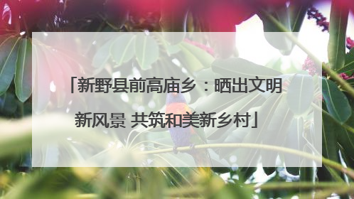 新野县前高庙乡：晒出文明新风景 共筑和美新乡村