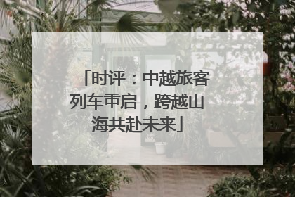 时评：中越旅客列车重启，跨越山海共赴未来