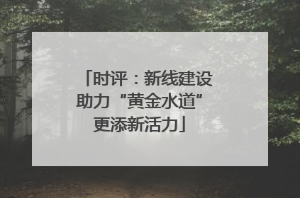 时评：新线建设助力“黄金水道”更添新活力